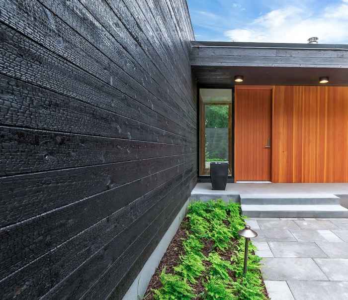 Charred wood siding