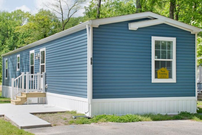 Siding skirting replacing homeowner